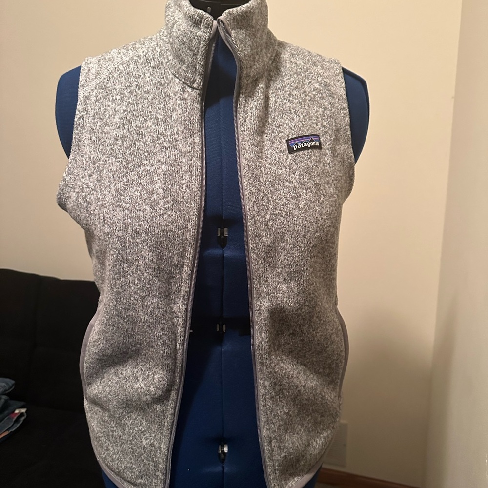 Patagonia Better than Sweater grey vest.